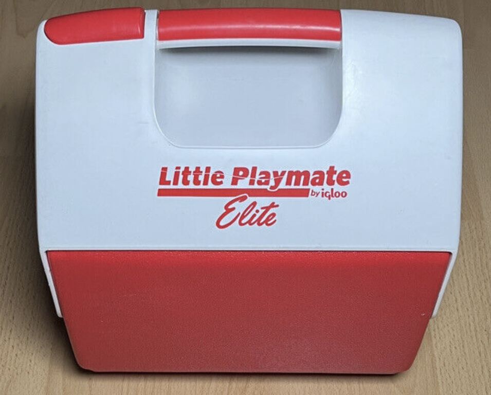 Small coolbox / cooler 6.6 litres