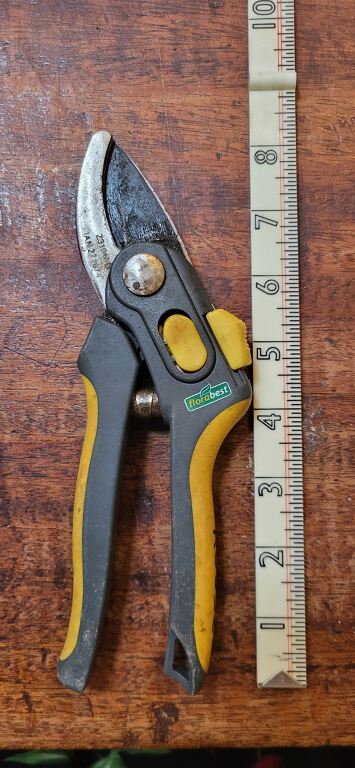 Secateurs