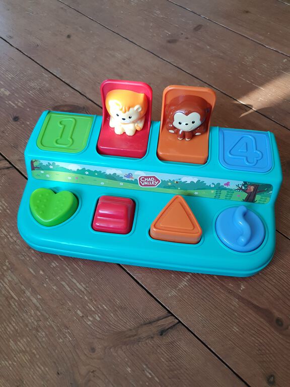 Pop Up and Surprise Jungle Animals