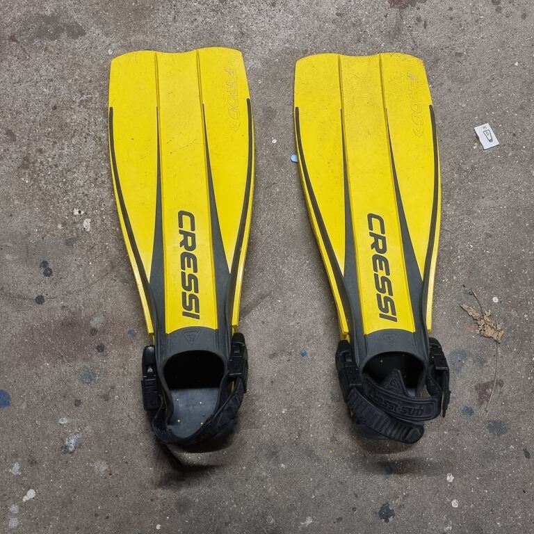 Diving fins / Flippers