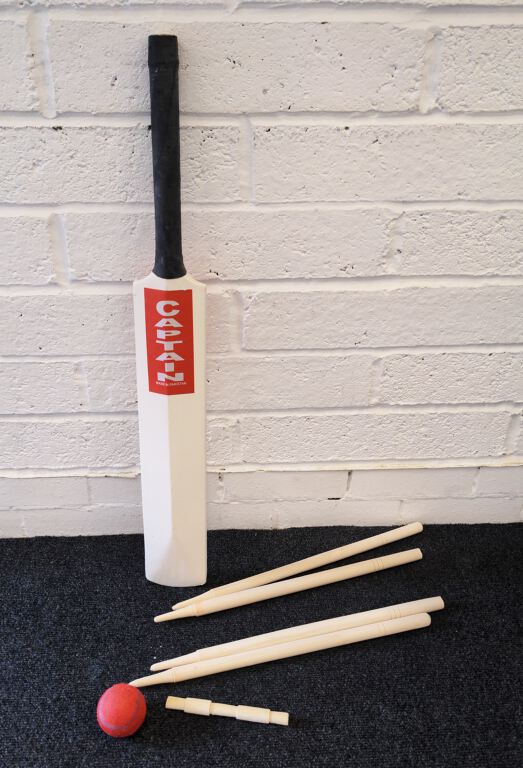 Cricket set