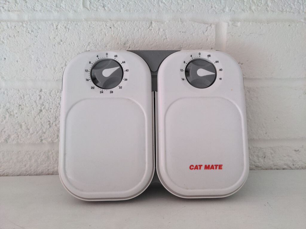 Pet feeder with timer