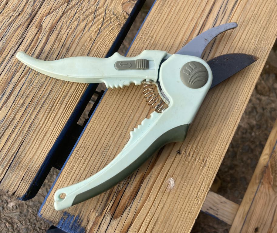 Secateurs