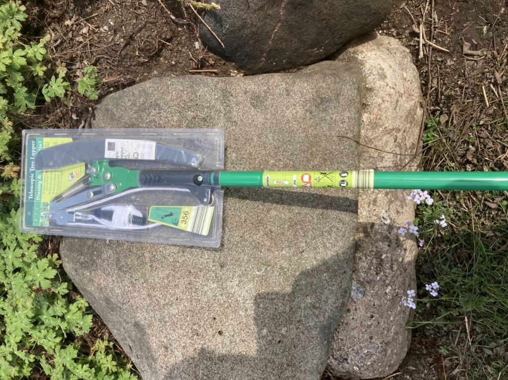 Telescopic tree lopper (C-349)