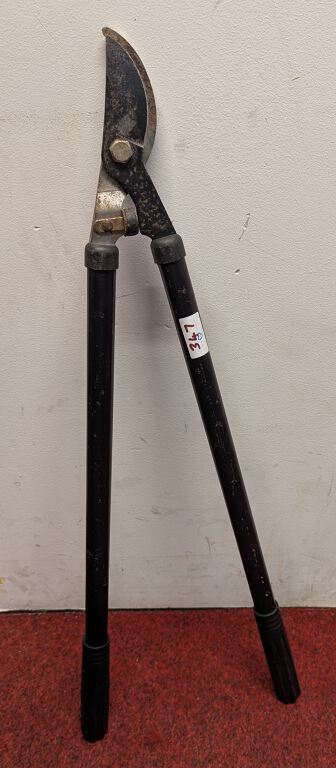 Loppers for small branches. (C-347)