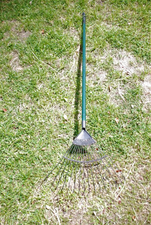 Garden Rake 2