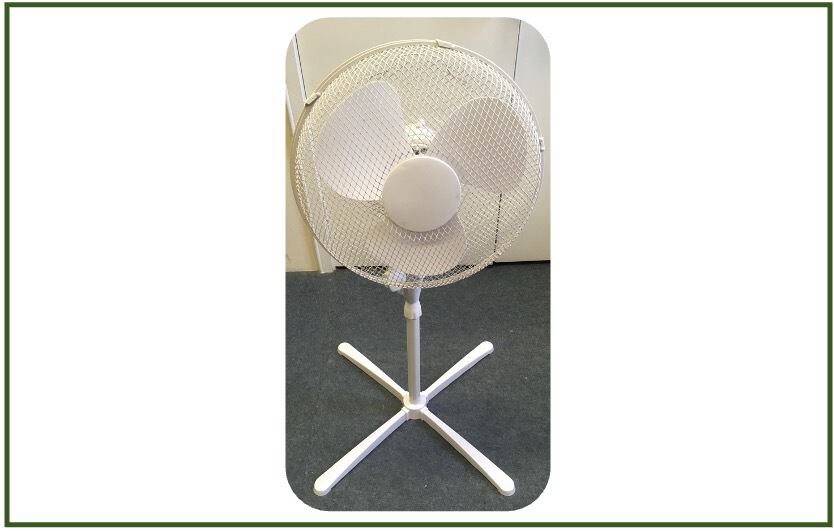 Pedastal Fan