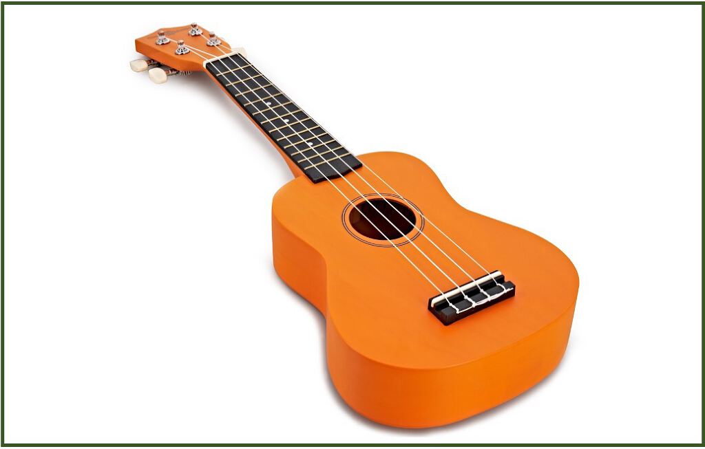 Ukulele (with Carrying Case and Tuner)