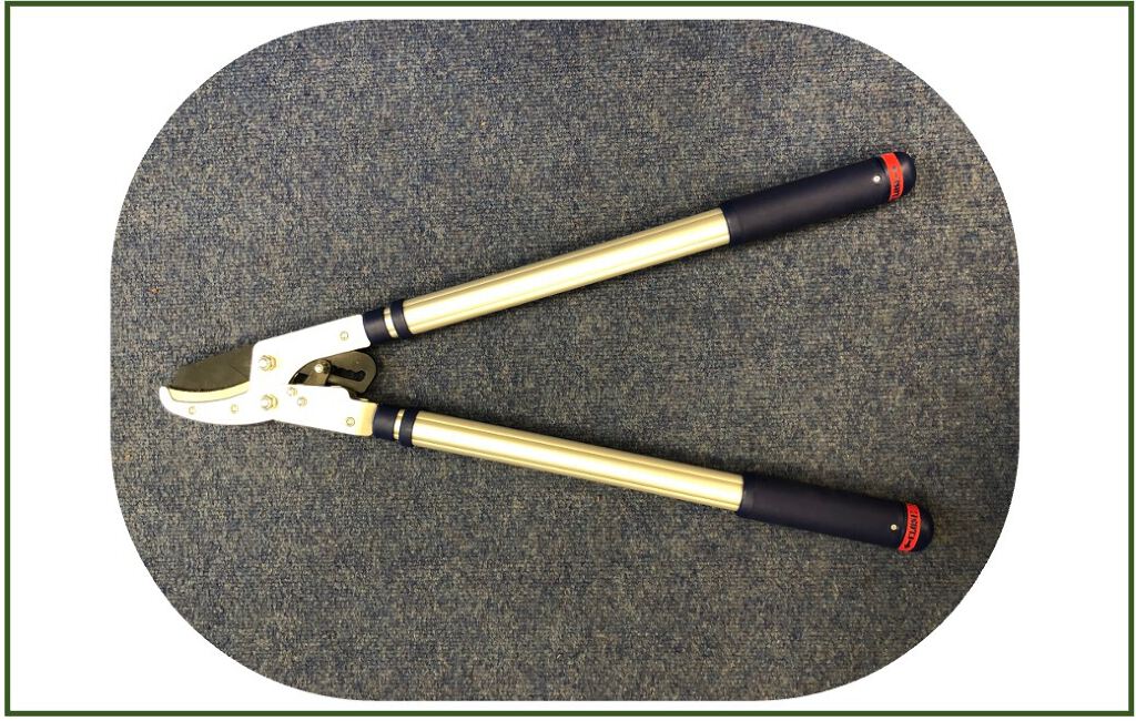 Loppers (Extenable)