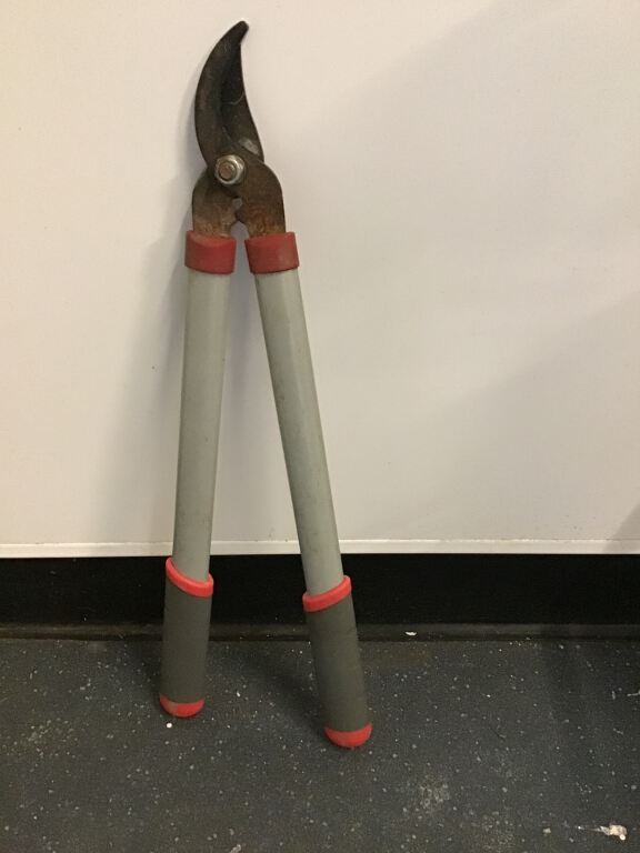 Garden lopping shears