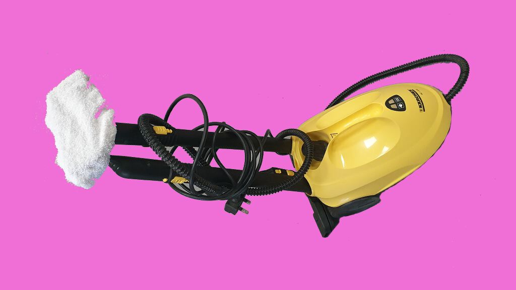 Karcher Steam Cleaner