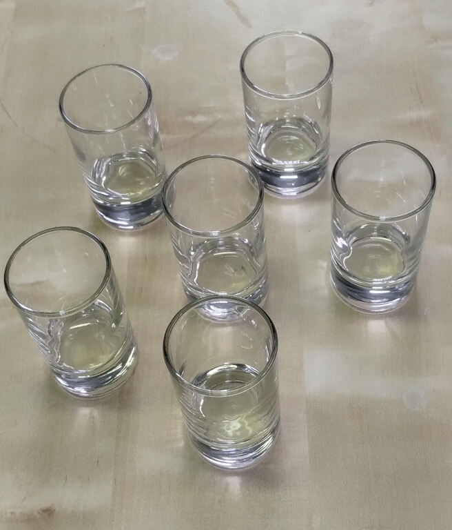 Shot Glasses x 6