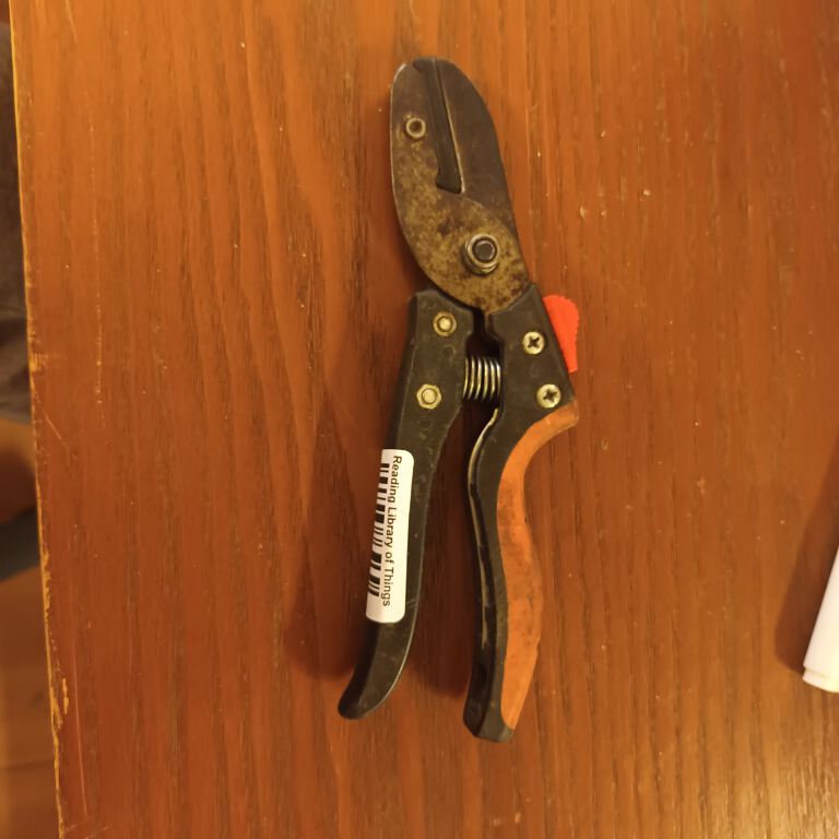 Bypass Secateurs