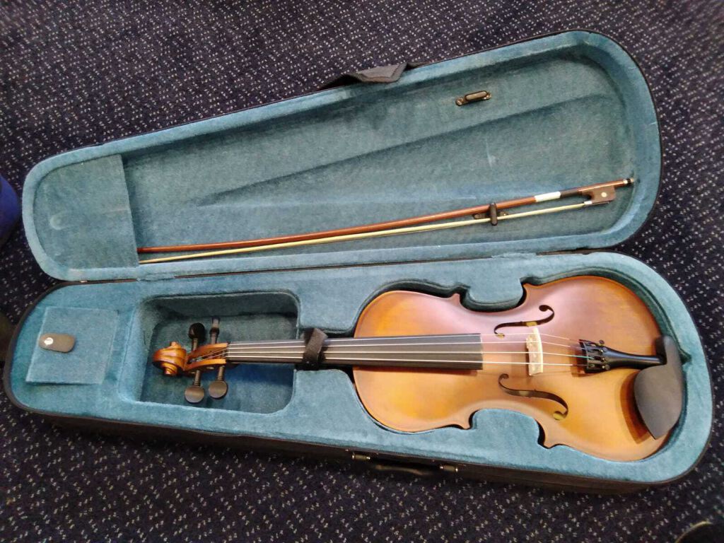 Viola & Bow in carrying case