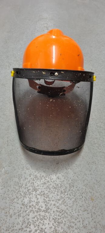 Helmet with viser (R314)