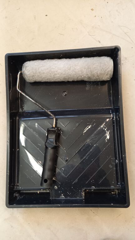 Paint roller and tray (R359)