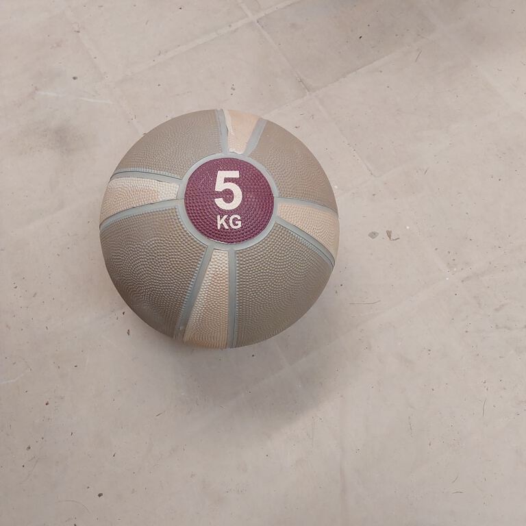 Exercise/Medicine Ball 5kg (R365)