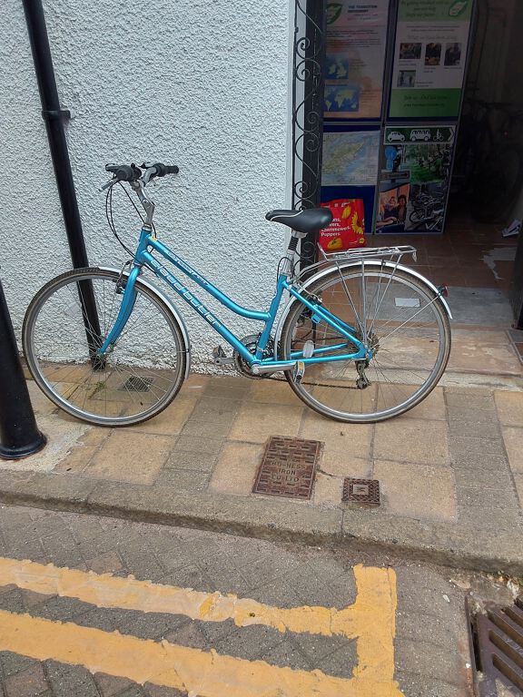 Ladies Medium Odyssey Bike (B019)