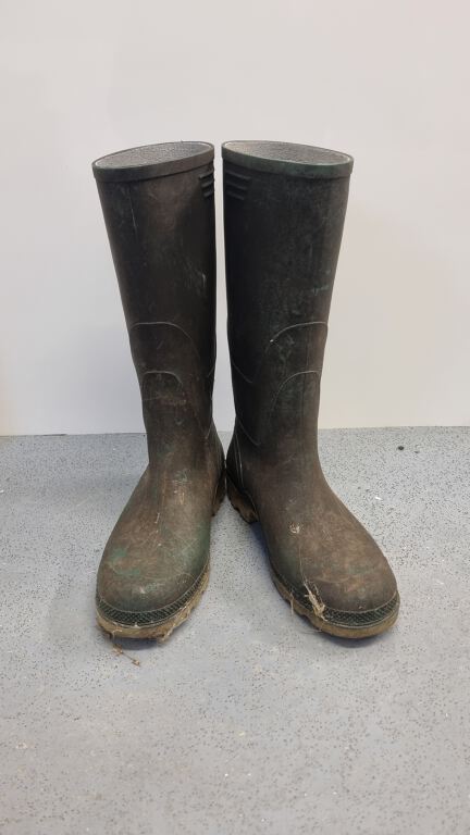 Wellies (R172)